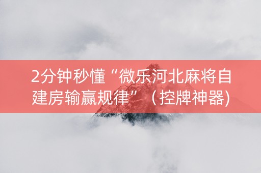 2分钟秒懂“微乐河北麻将自建房输赢规律”（控牌神器)