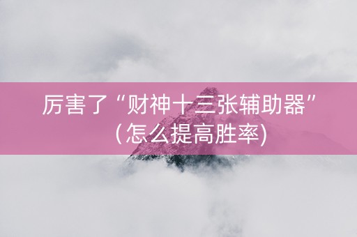 厉害了“财神十三张辅助器”（怎么提高胜率)