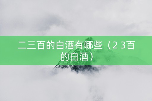 二三百的白酒有哪些（2 3百的白酒）