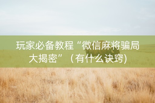 玩家必备教程“微信麻将骗局大揭密”（有什么诀窍)