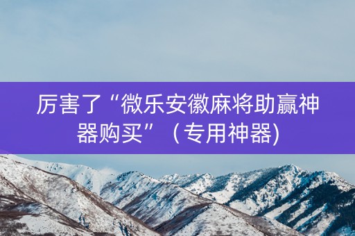 厉害了“微乐安徽麻将助赢神器购买”（专用神器)