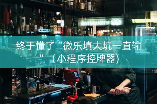 终于懂了“微乐填大坑一直输”（小程序控牌器)