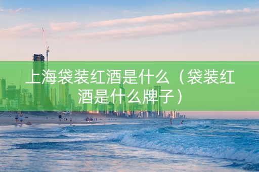 上海袋装红酒是什么（袋装红酒是什么牌子）