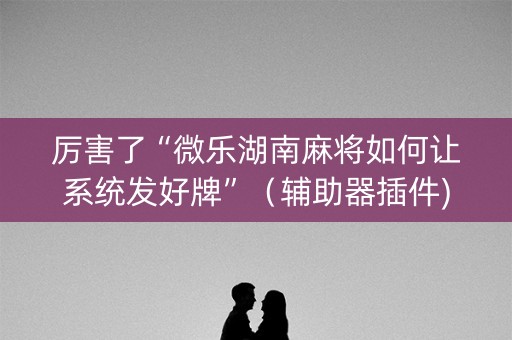 厉害了“微乐湖南麻将如何让系统发好牌”（辅助器插件)
