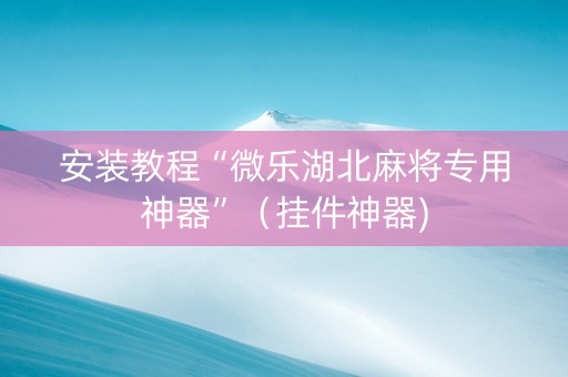 安装教程“微乐湖北麻将专用神器”（挂件神器)