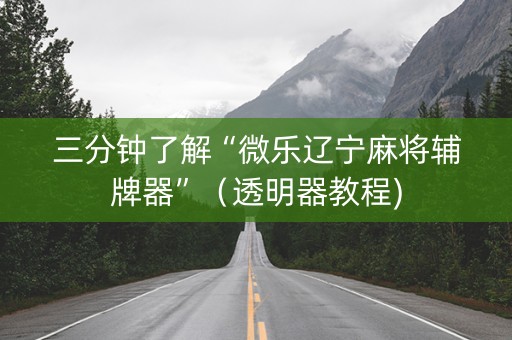 三分钟了解“微乐辽宁麻将辅牌器”（透明器教程)