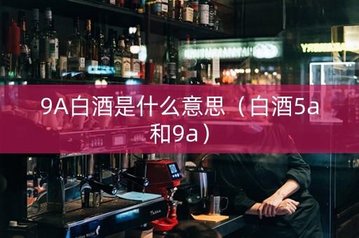9A白酒是什么意思（白酒5a和9a）