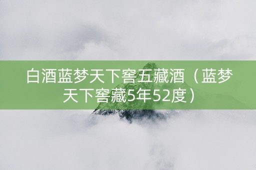 白酒蓝梦天下窖五藏酒（蓝梦天下窖藏5年52度）