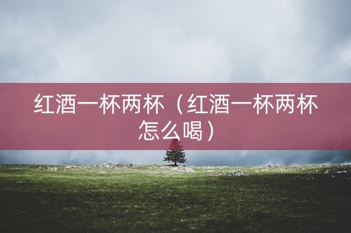 红酒一杯两杯（红酒一杯两杯怎么喝）