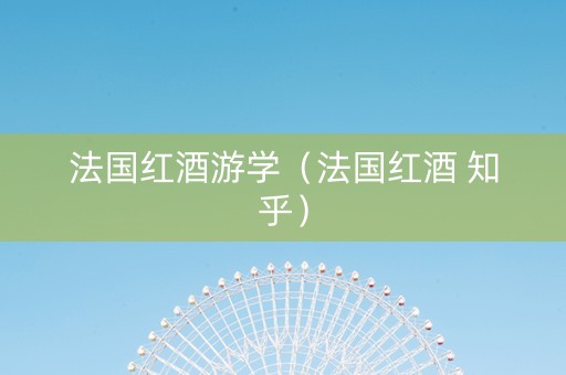法国红酒游学（法国红酒 知乎）