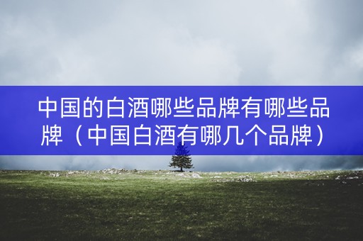 中国的白酒哪些品牌有哪些品牌（中国白酒有哪几个品牌）