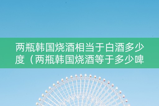 两瓶韩国烧酒相当于白酒多少度（两瓶韩国烧酒等于多少啤酒）