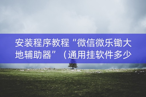 安装程序教程“微信微乐锄大地辅助器”（通用挂软件多少钱)