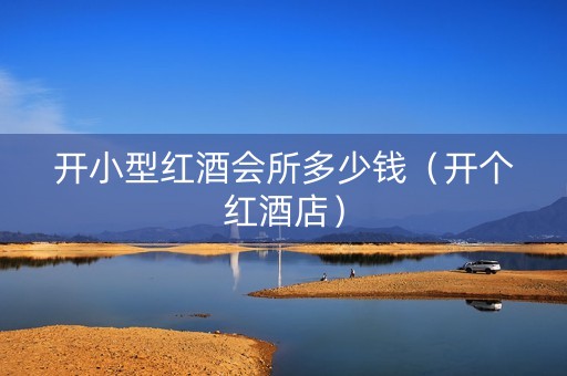 开小型红酒会所多少钱（开个红酒店）