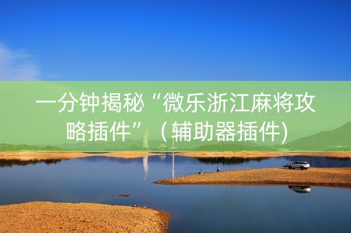 一分钟揭秘“微乐浙江麻将攻略插件”（辅助器插件)