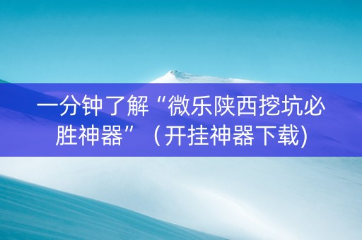一分钟了解“微乐陕西挖坑必胜神器”（开挂神器下载)
