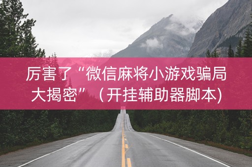 厉害了“微信麻将小游戏骗局大揭密”（开挂辅助器脚本)