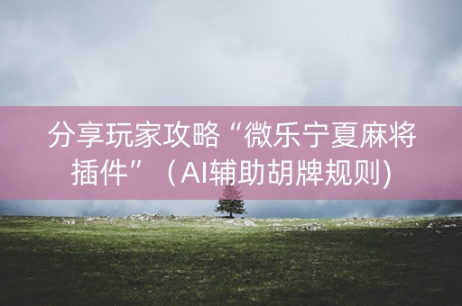 分享玩家攻略“微乐宁夏麻将插件”（AI辅助胡牌规则)