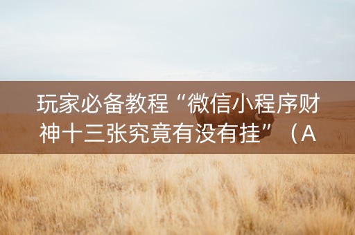 玩家必备教程“微信小程序财神十三张究竟有没有挂”（AI辅助胡牌规则)