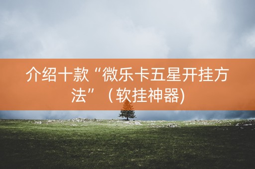介绍十款“微乐卡五星开挂方法”（软挂神器)