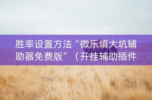 胜率设置方法“微乐填大坑辅助器免费版”（开挂辅助插件)