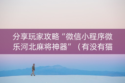 分享玩家攻略“微信小程序微乐河北麻将神器”（有没有猫腻)