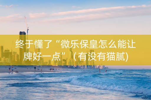 终于懂了“微乐保皇怎么能让牌好一点”（有没有猫腻)