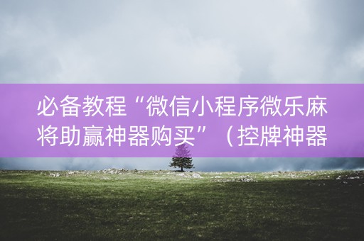 必备教程“微信小程序微乐麻将助赢神器购买”（控牌神器)