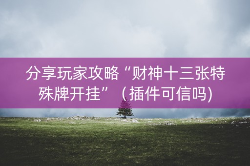 分享玩家攻略“财神十三张特殊牌开挂”（插件可信吗)