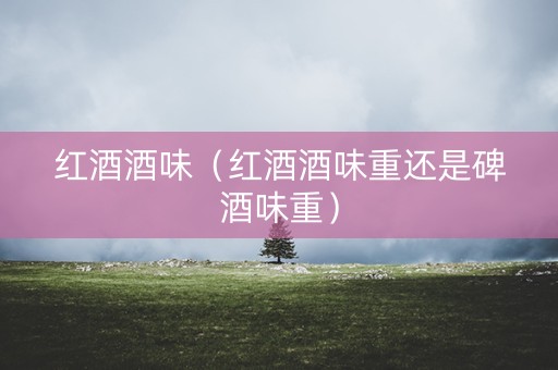 红酒酒味（红酒酒味重还是碑酒味重）