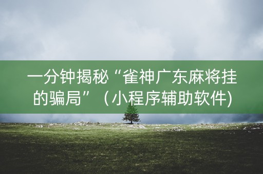 一分钟揭秘“雀神广东麻将挂的骗局”（小程序辅助软件)