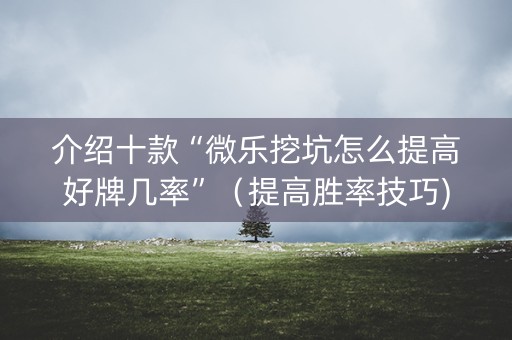 介绍十款“微乐挖坑怎么提高好牌几率”（提高胜率技巧)