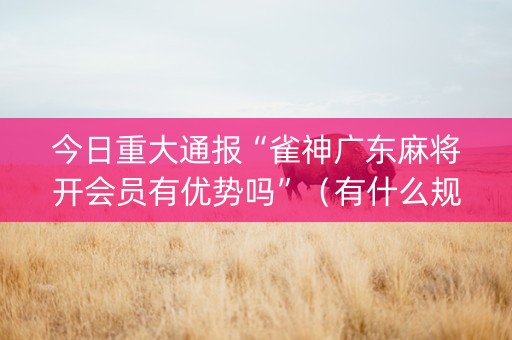 今日重大通报“雀神广东麻将开会员有优势吗”（有什么规律)