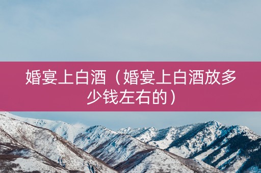 婚宴上白酒（婚宴上白酒放多少钱左右的）