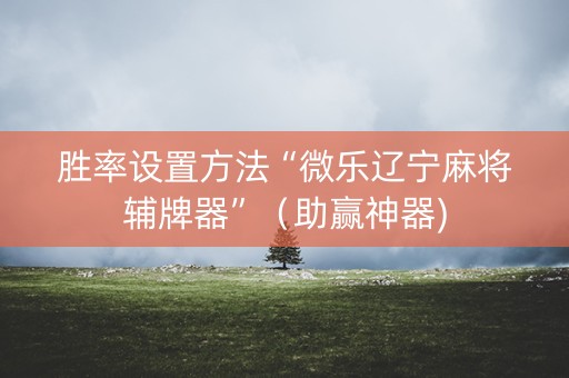 胜率设置方法“微乐辽宁麻将辅牌器”（助赢神器)