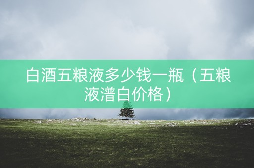 白酒五粮液多少钱一瓶（五粮液潽白价格）