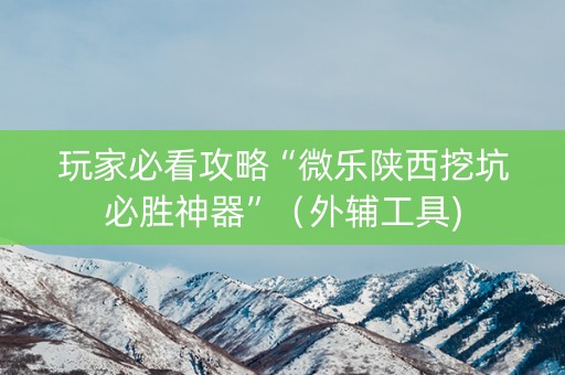 玩家必看攻略“微乐陕西挖坑必胜神器”（外辅工具)