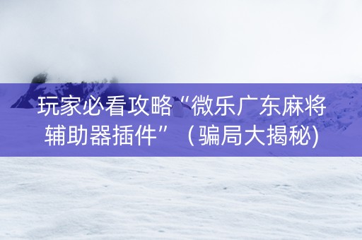 玩家必看攻略“微乐广东麻将辅助器插件”（骗局大揭秘)