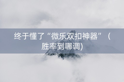 终于懂了“微乐双扣神器”（胜率到哪调)