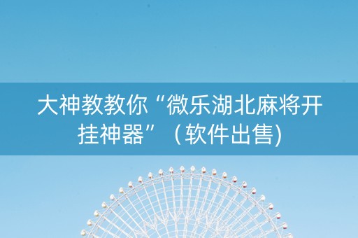 大神教教你“微乐湖北麻将开挂神器”（软件出售)
