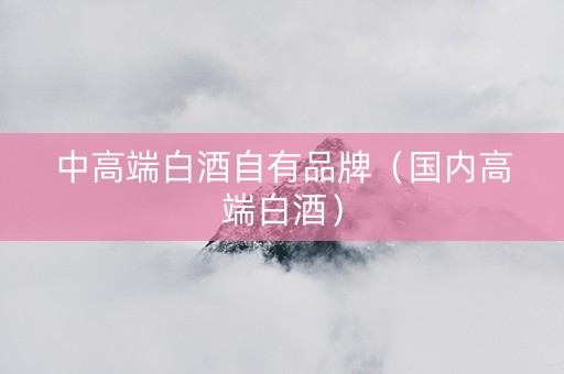 中高端白酒自有品牌（国内高端白酒）