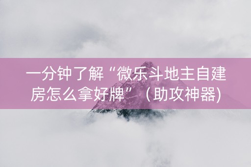 一分钟了解“微乐斗地主自建房怎么拿好牌”（助攻神器)