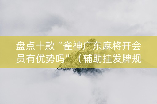 盘点十款“雀神广东麻将开会员有优势吗”（辅助挂发牌规律)