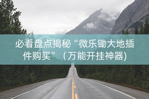 必看盘点揭秘“微乐锄大地插件购买”（万能开挂神器)