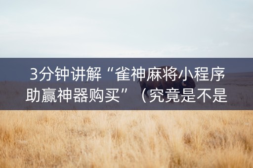 3分钟讲解“雀神麻将小程序助赢神器购买”(究竟是不是有挂) 3分钟讲解“雀神麻将小程序助赢神器购买”(究竟是不是有挂)