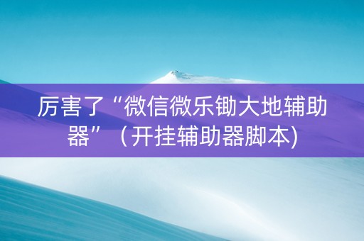 厉害了“微信微乐锄大地辅助器”（开挂辅助器脚本)