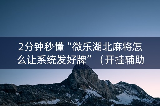 2分钟秒懂“微乐湖北麻将怎么让系统发好牌”（开挂辅助脚本)