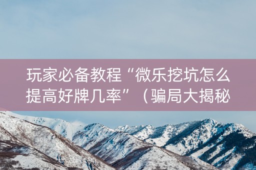 玩家必备教程“微乐挖坑怎么提高好牌几率”（骗局大揭秘)