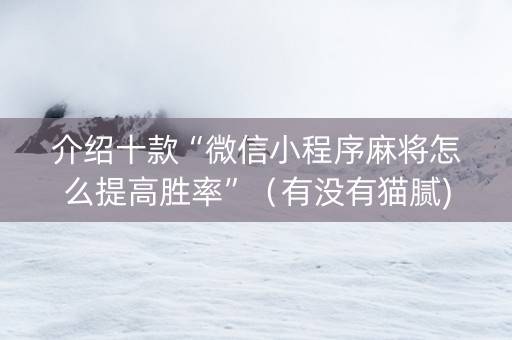 介绍十款“微信小程序麻将怎么提高胜率”（有没有猫腻)