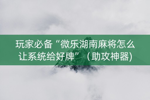 玩家必备“微乐湖南麻将怎么让系统给好牌”（助攻神器)